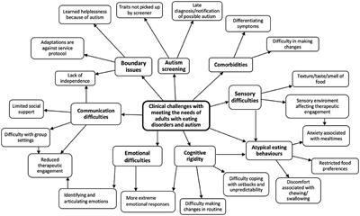 How to support adults with anorexia nervosa and autism: Qualitative study of clinical pathway case series